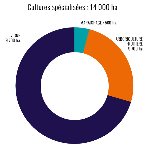 Surfaces suivies par maisagri arboriculture viticulture maraichage