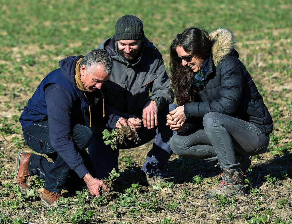 Technicien Maisagri et agriculteurs observent une févrole